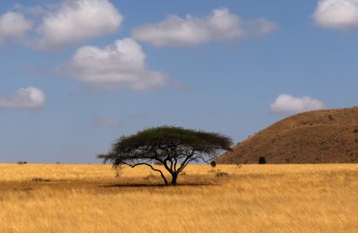 Kenya 2016