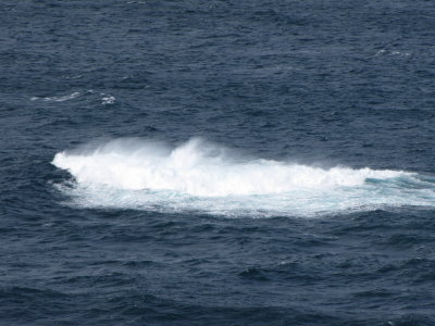 g9/79/734379/3/156130617.KSeM5RA8.jpg