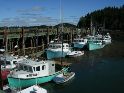 campobello_sept_2014