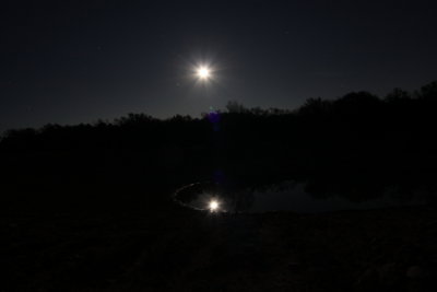 IMG_1387.jpg