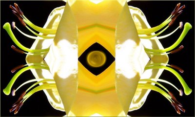 g9/79/738779/3/114756349.RkKd4aJs.jpg