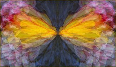 g9/79/738779/3/120841207.dG2ofqFb.jpg