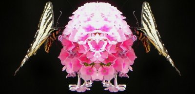 g9/79/738779/3/137266028.vT63mJkw.jpg