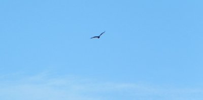 g9/79/738779/3/161580731.79KlUReV.jpg