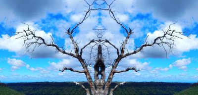 g9/79/738779/3/164383866.GD6aFsh0.jpg
