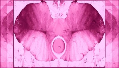 Pink Elephant Pastille