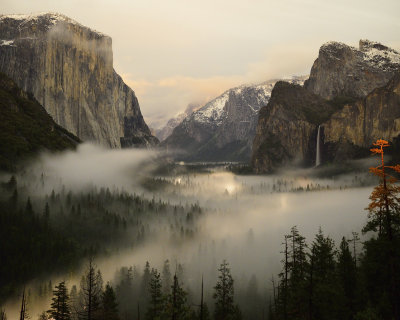 Low Fog at Yosemite