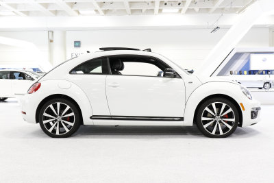 White Beetle (Apple Version)