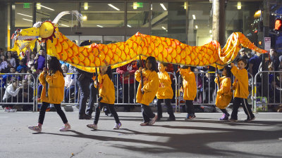 Little Dragons