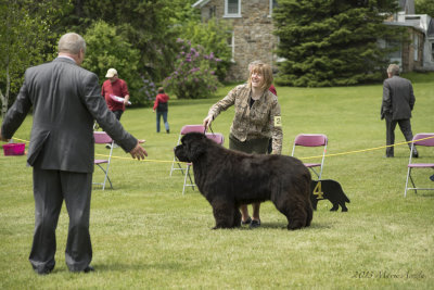 Jenny & Robbie, and Nelson at the Canadian National Specialty