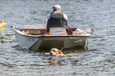 Gizmo finds the abandoned boat.