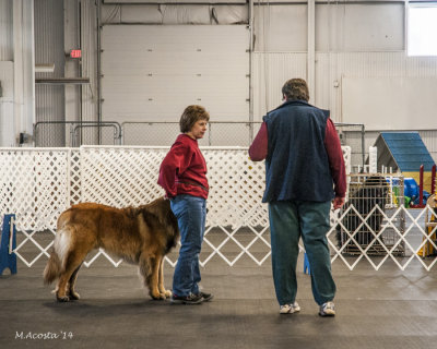Obedience-25.jpg