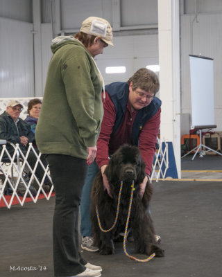 Obedience-63.jpg