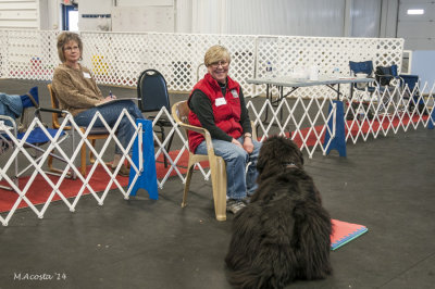 Obedience-70.jpg