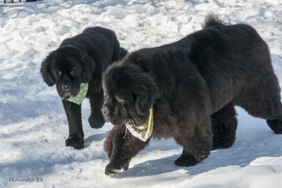 Jam & her son Nelson
