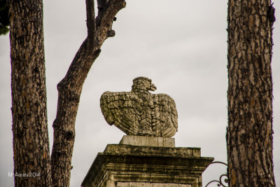 Rome-121.jpg
