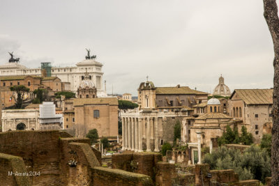 Roman Forum in the distance
