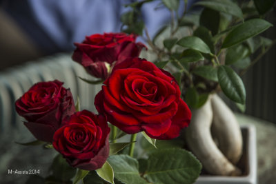 Birthday roses