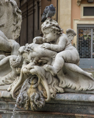 Rome-36.jpg