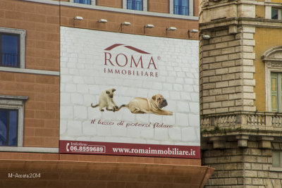 I loved these billboards/signs