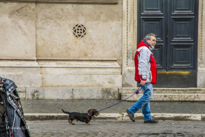 So he gets to go back to the cafe with his other owner...