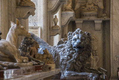 Rome-92.jpg