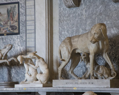 Rome-93.jpg