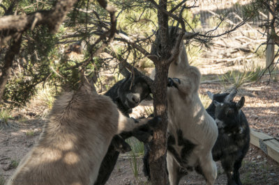 _DSC7572.jpg