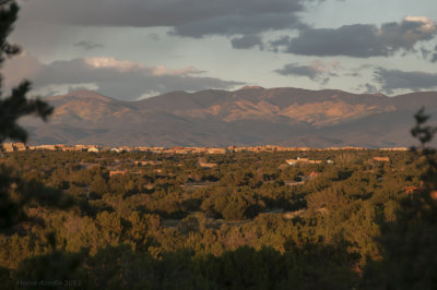 _DSC7616.jpg