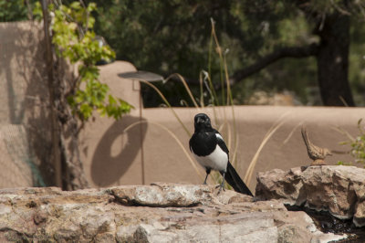 _DSC7652.jpg