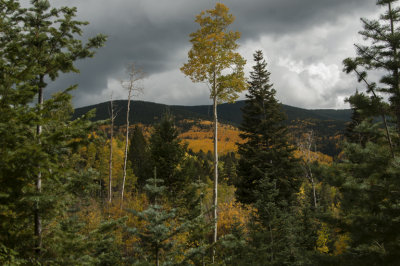 _DSC7668.jpg