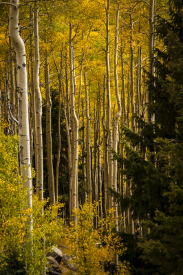 _DSC7689.jpg
