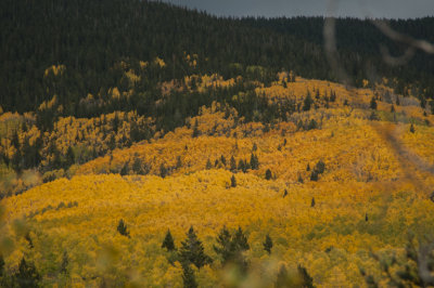 _DSC7694.jpg