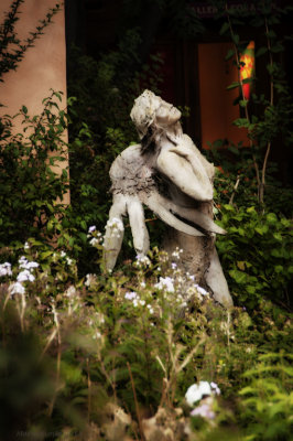 _DSC7708-Edit.jpg