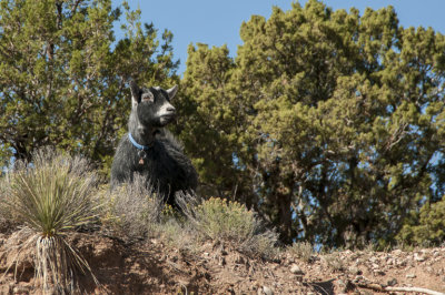 _DSC7832.jpg