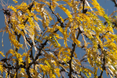 _DSC7925-Edit.jpg