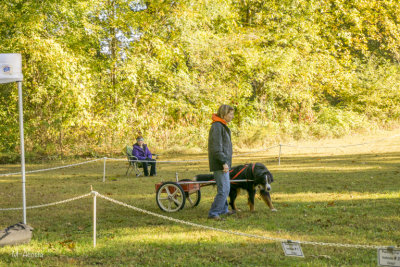 Test Site at the Waterloo Recreation Area