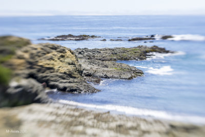 SeaRanch 2016-26.jpg