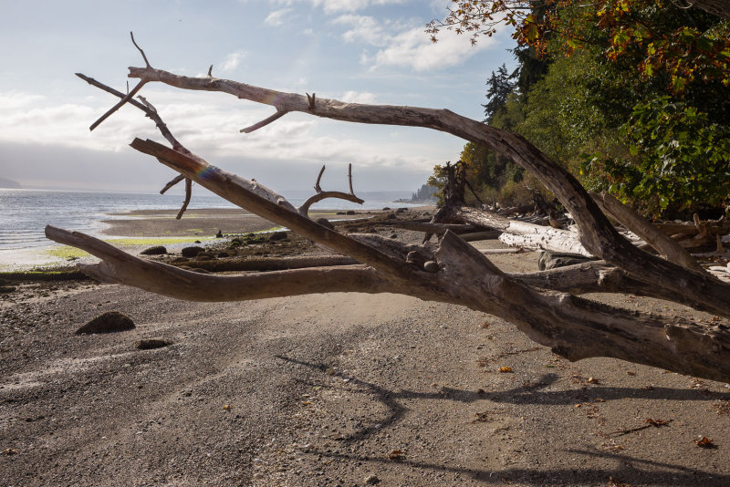 Whidbey-1003534.jpg