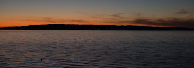 Whidbey-1003220.jpg