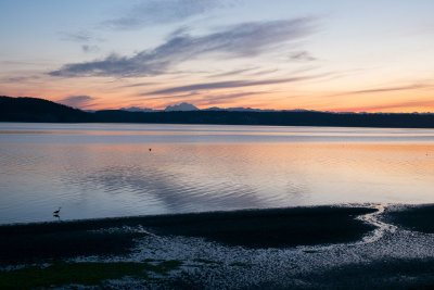 Whidbey-1003293.jpg