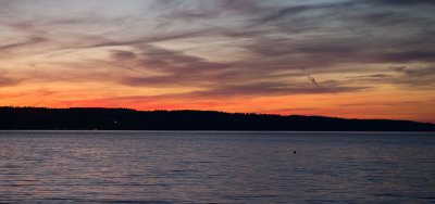 Whidbey-1003447.jpg