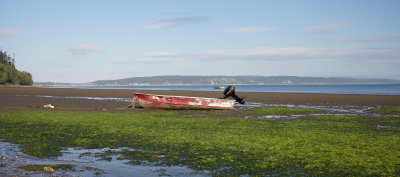 Whidbey-1003526.jpg
