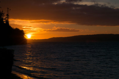 whidbey-1003645.jpg