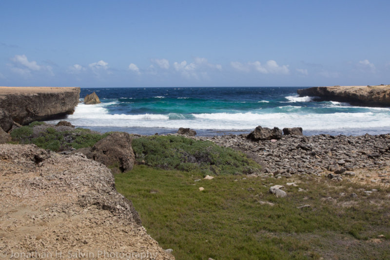 Aruba 2014-492.jpg