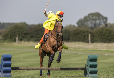 Fancy dress polo 9/2015