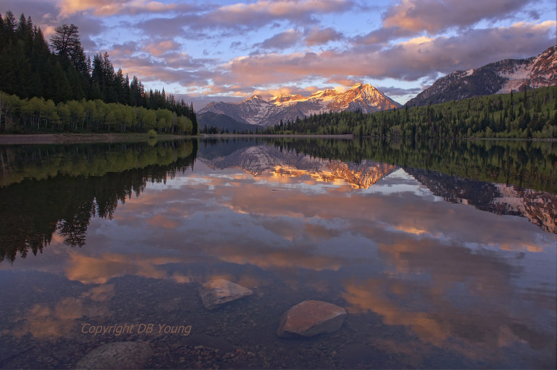 A new day at the lake.