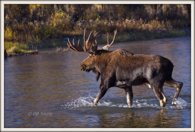 Big Boy Crossing