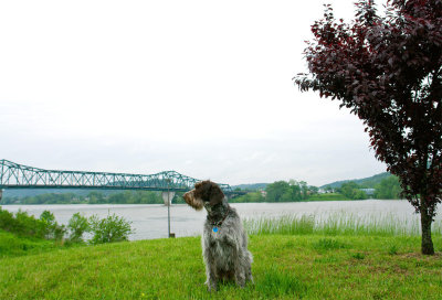 At the Ohio River