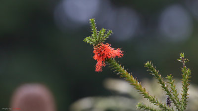 IMG_0563.jpg